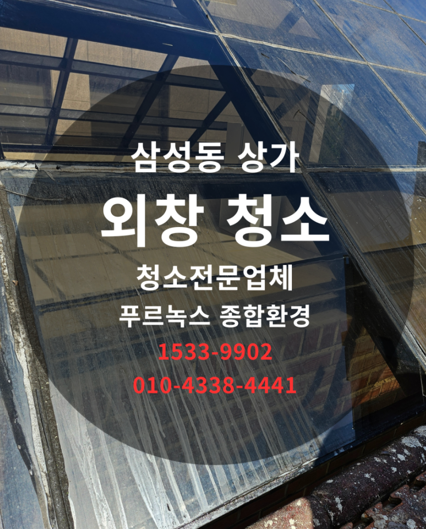 갤러리 이미지 11